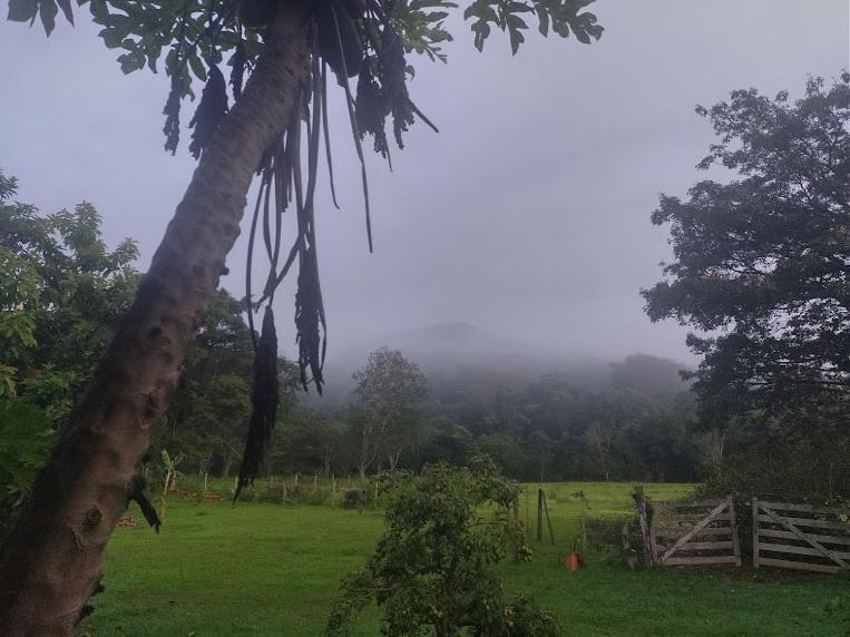 ホテル Pouso Divino Dos Pireneus Pirenópolis エクステリア 写真